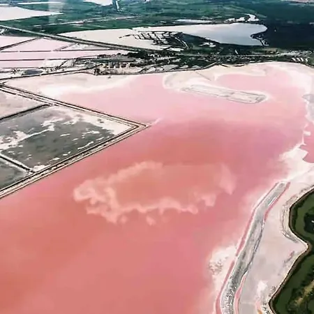 Villa Spacieuse Avec Piscine, Secteur Tres Calme