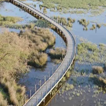 Spacieuse Avec Piscine, Secteur Tres Calme Villa