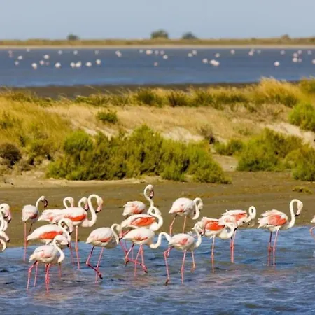 Spacieuse Avec Piscine, Secteur Tres Calme